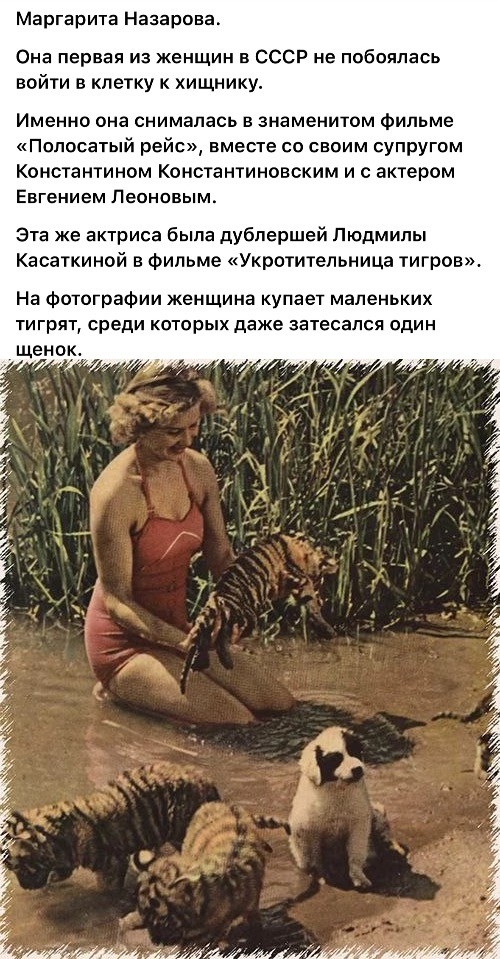 Фотографии из прошлого нашей страны – 78