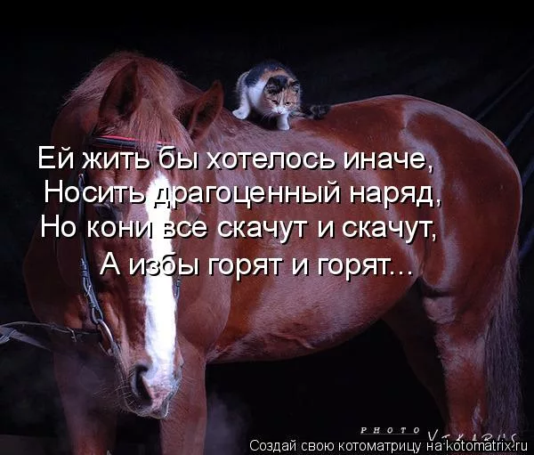 Мины Ильича.