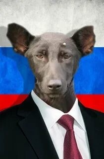 А кто эти 1,5 тысячи опрошенных?)