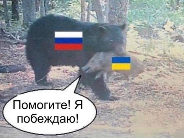 Мы подошли очень близко к тому моменту, когда мы сможем заставить Российскую Федерацию прекратить войну. Мы это чувствуем, - Зеленский
