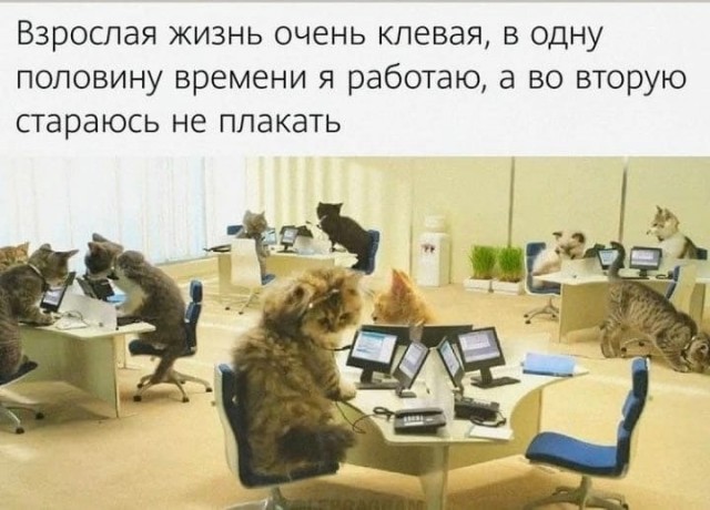 Картинки для деградации-5 (разной степени свежести)