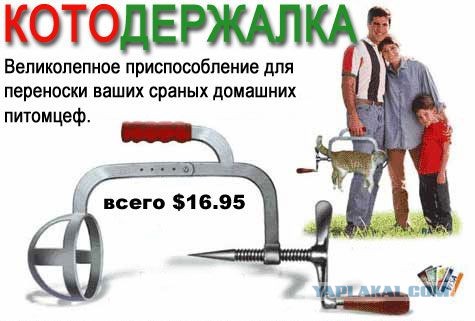 100% понимания
0% осуждения