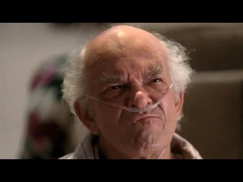 Собака-подставляка
