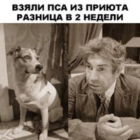 Сильный крот