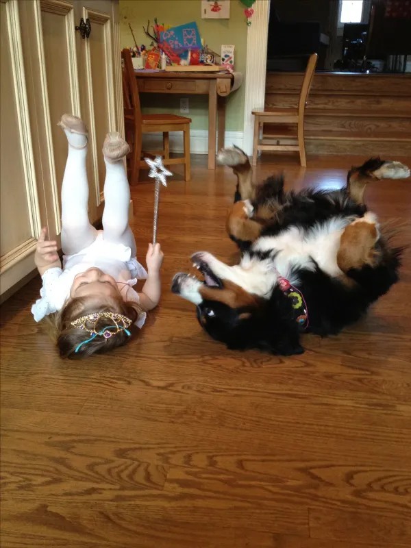 Забавные и интересные фото из Сети 23.04.26