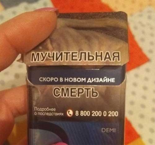 Веселые картинки в понедельник (06.07)
