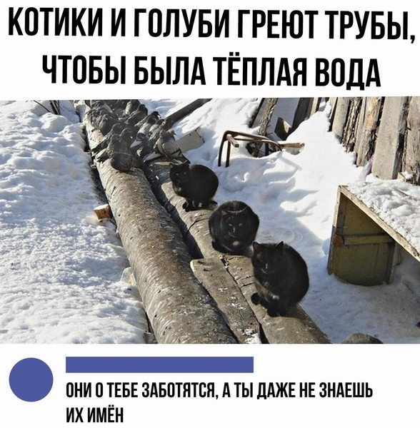 Картиночки, баянчики 25 июля