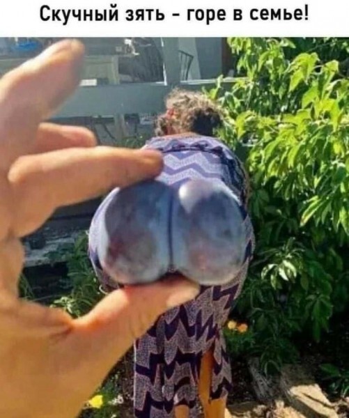 Пятничные жопки
