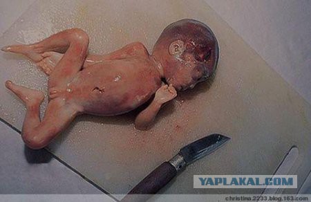 Шесть необычных деликатесов.