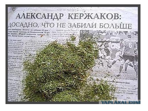 Попался