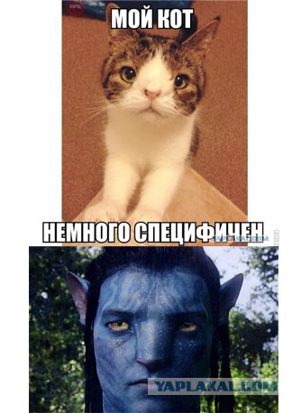 Немного позитива на пятницу
