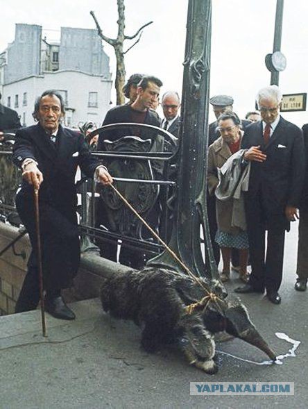 40 удивительных исторических фотографий