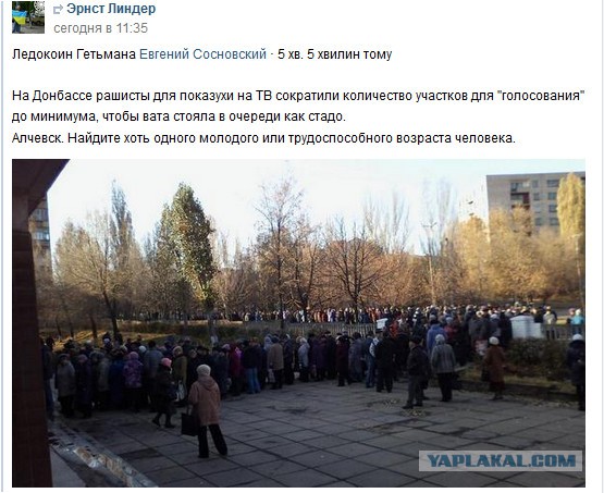 Выборы в Новороссии