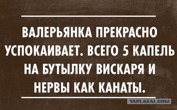 Смешные комментарии из социальных сетей 15.11.14