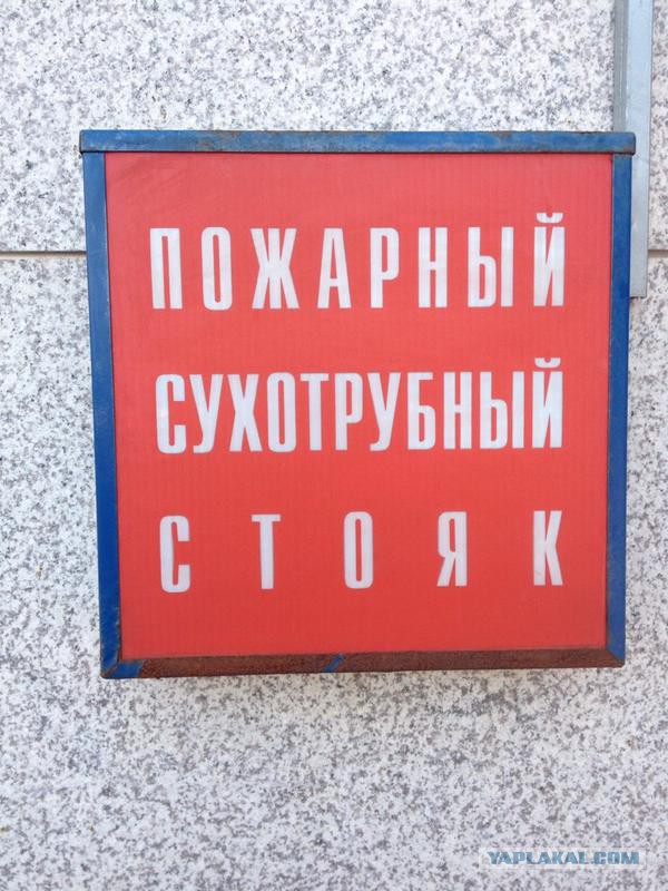 Картинки из сети для настроения