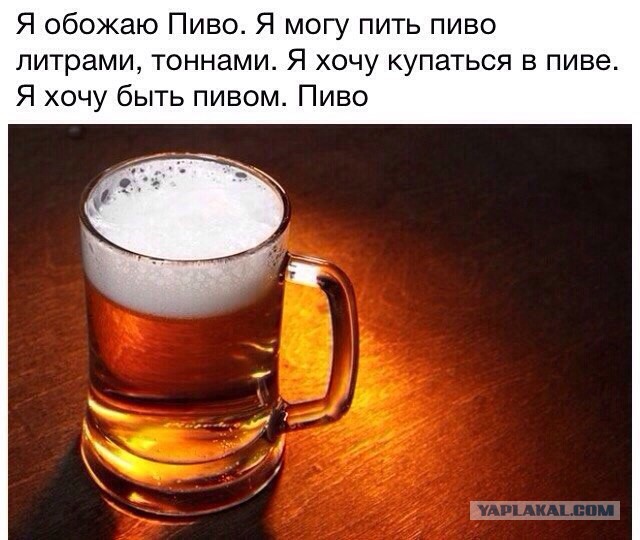 Пиво как смысл жизни