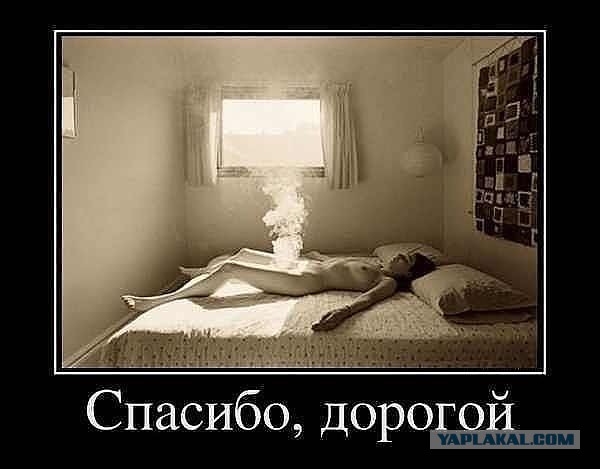 Весёлое из сети