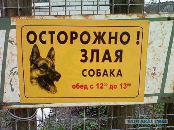 Весёлое из сети