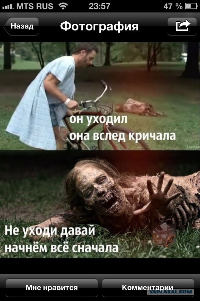 Забавные картинки из интернетов