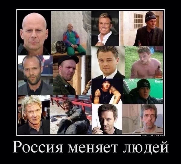 Забавные картинки.