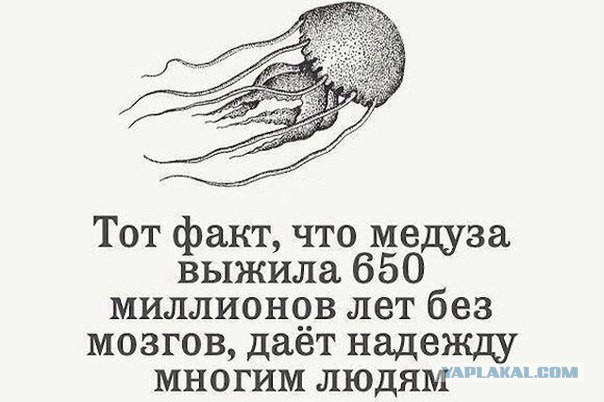 Забавные картинки из Сети