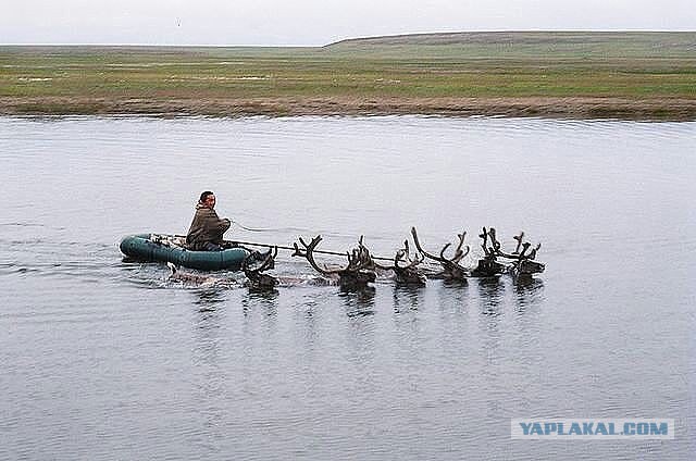 Так..картинки на понедельничек))