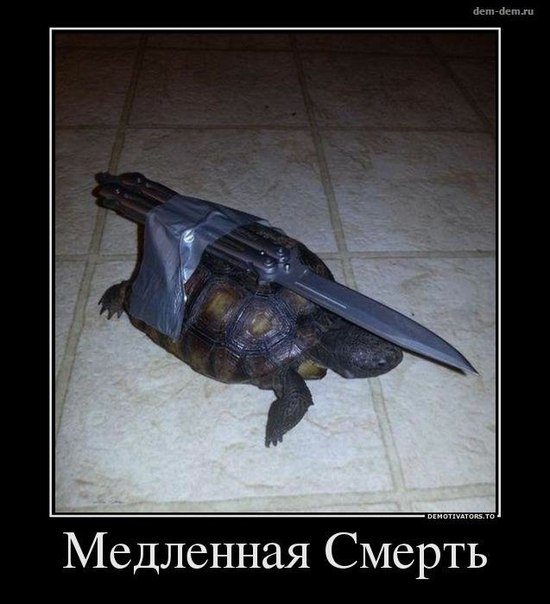 Забавные картинки из Сети