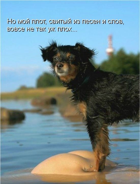 Плот.