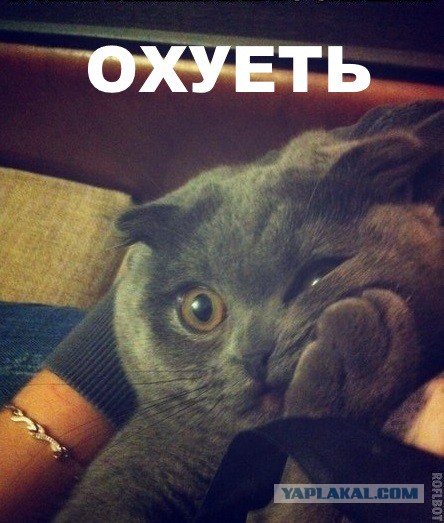 Жена удивила в ванной