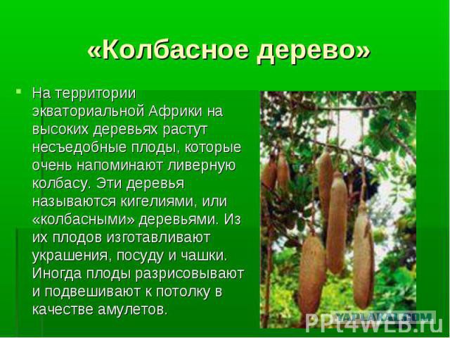 Как растут продукты