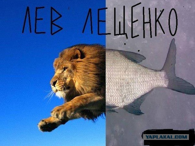 Смешные комментарии на 10.12.2015