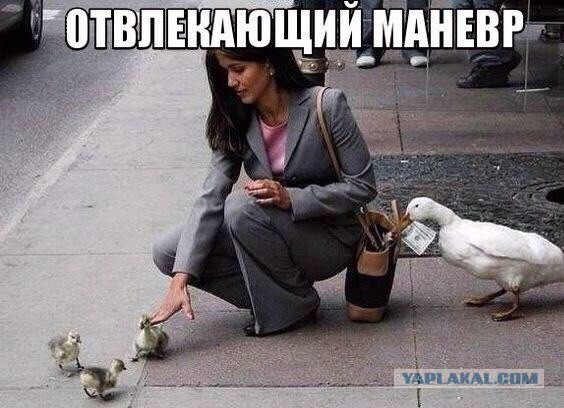 Забавные картинки из Сети