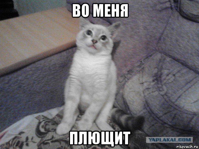 Легкой наркомании псто