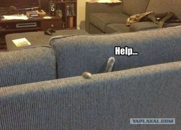 Котооо-о-о-вторник