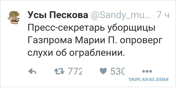 На злобу дня