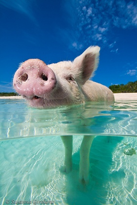 Понять и простить