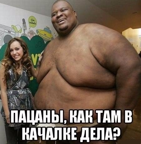 Прикольная фотоподборка