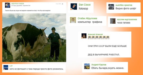 Ужасы и приколы из соцсетей 18+