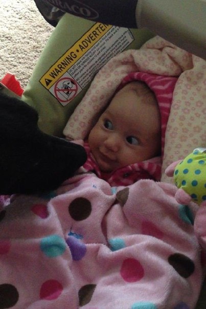 Подборка интересных и веселых фото