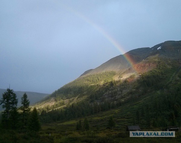 Подборка красивых и прикольных фото