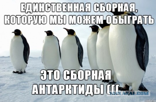 Самые злобные и веселые приколы про сборную РФ по футболу