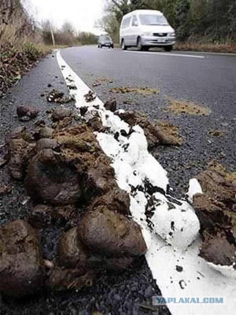В Рязанской области нанесли разметку на грязь и лужи