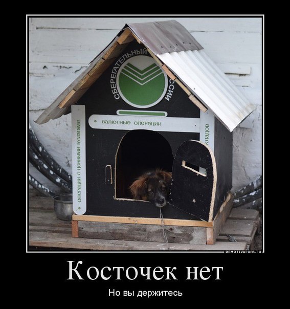 Мохнатые беспредельщики