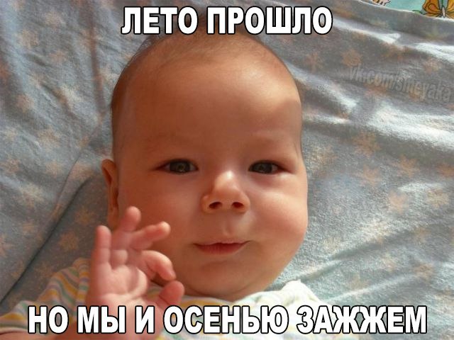 Картинки из сети