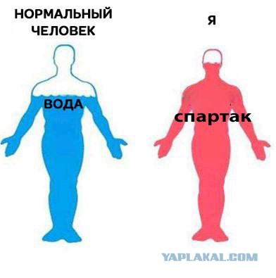 Футбол Чемпионат России 2016-17. Кубок России,РФПЛ,ФНЛ. Часть VII
