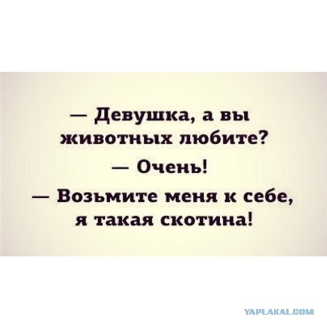 Весёлые картинки