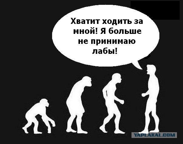 Подборка интересных и веселых картинок