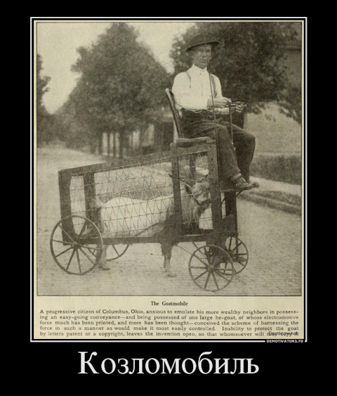 Весёлые картинки из интернета