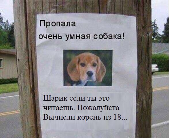 Приколы в стиле "регресс"