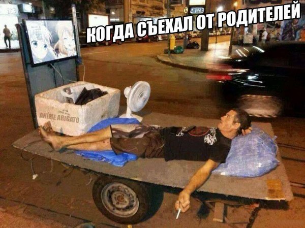Подборка интересных и веселых картинок